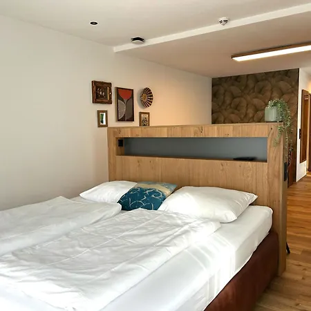 Gaestehaus Schneeberger 3* 迈尔霍芬